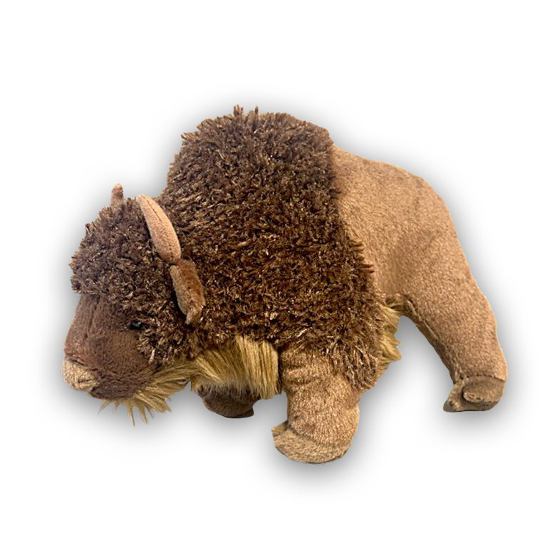 Sue Buffalo